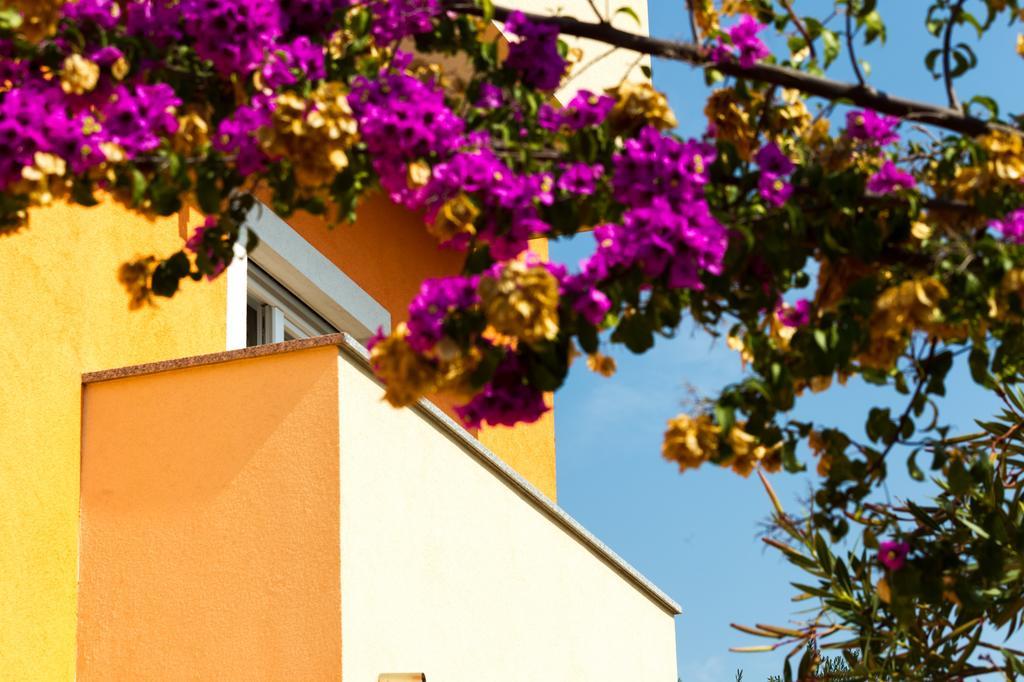 Apartments Villa Orange Ζαντάρ Εξωτερικό φωτογραφία